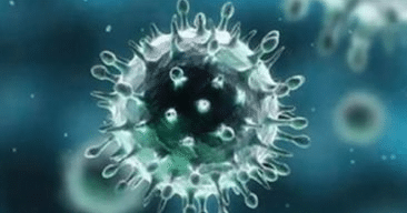 طرق الوقاية من فيروس كورونا (كوفيد-19)