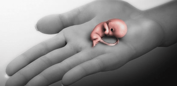 هل الإجهاض في الشهر الثاني مؤلم ؟