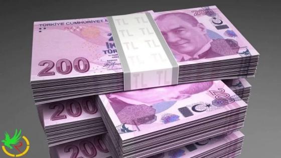 خسائر العملة التركية