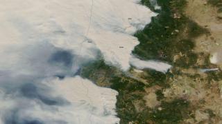 عشرات الحرائق في الغابات تحرق الساحل الغربي الأمريكي