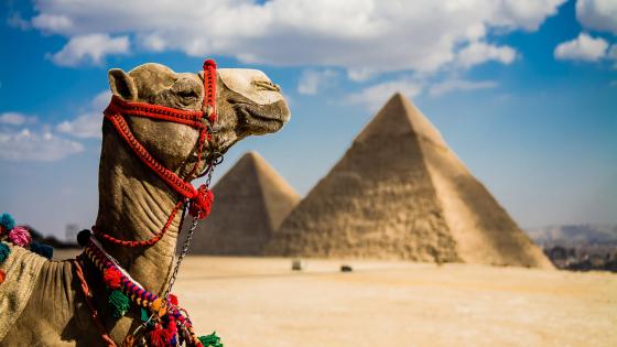 المناطق السياحية في مصر الأكثر زيارة من قبل السياح