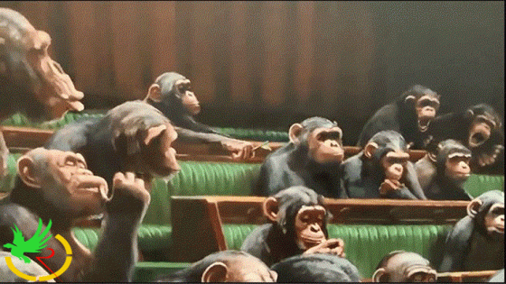 برلمان القردة