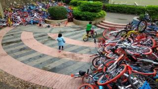الدراجات في الصين