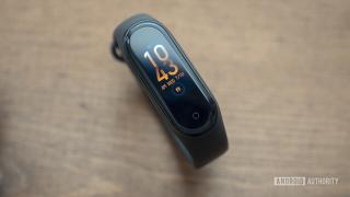 Mi Band 4 NFC في أوكرانيا وبيلاروسيا