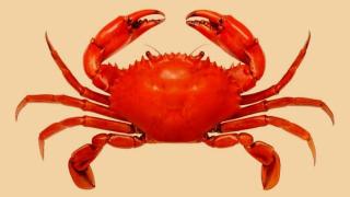 القبض على قراصنة GandCrab في بيلاروسيا