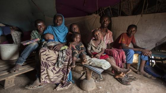 شبح الجوع يهدد الصومال .. ومنظمة الفاو تؤكد ذلك