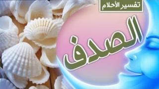 تفسير رؤية الصدف في المنام للعزباء