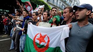 الحرج الفرنسي من حراك الجزائر