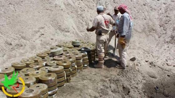 حملة يمنية لإزالة الألغام الحوثية