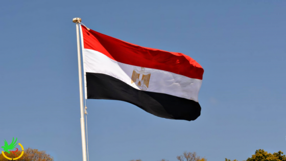 إسقاط الجنسية المصرية