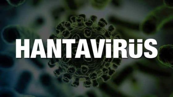 فيروس هانتا .. كل ما نعرفه عن الفيروس