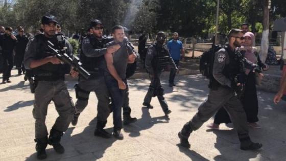 قوات الاحتلال تعتقل 11 فلسطينيا