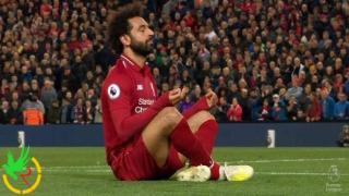 محمد صلاح واليوجا